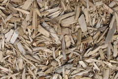 biomass boilers Gortonronach