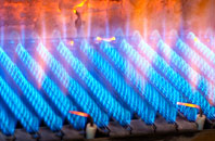 Gortonronach gas fired boilers